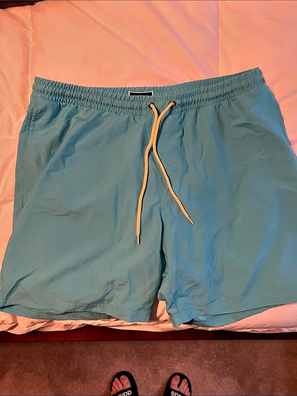 Club Room Swim Trunks in Blue